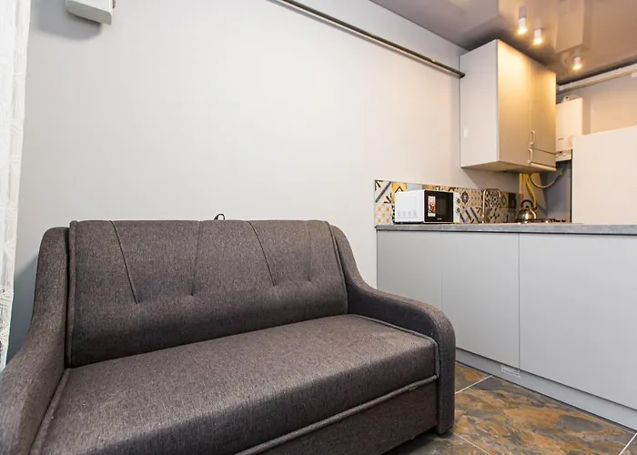 в центрі в новобудові вулиця шевченка 19 навпроти сільпо 利沃夫